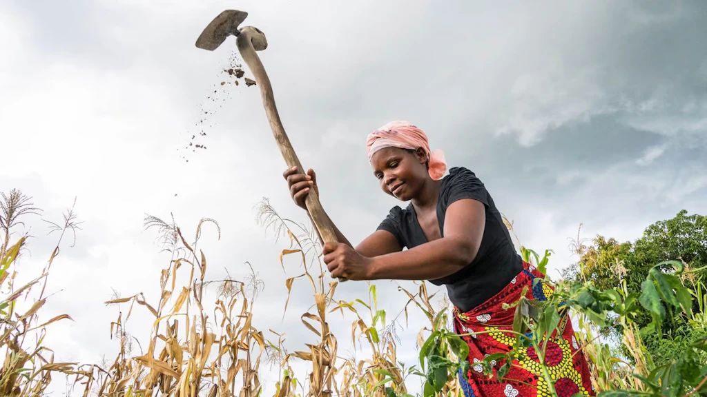 Smallholder farmers in southern Africa