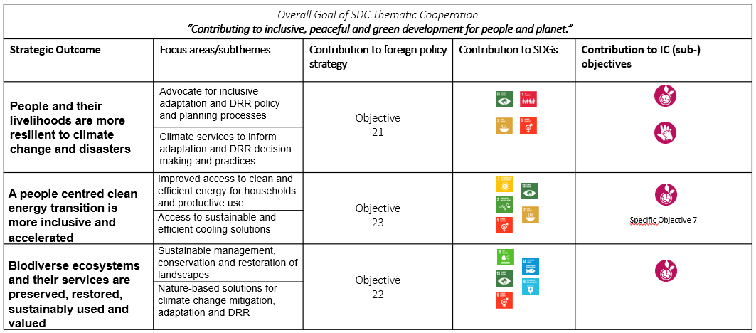 CDE section’s programmatic framework 2025-2028